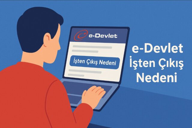 e-Devlet İşten Çıkış Nedeni Öğrenme, Sorgulama